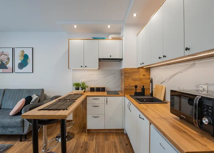 Vip Niecia Z Klimatyzacja * Rzeszów