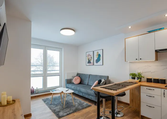 Vip Niecia Z Klimatyzacja *